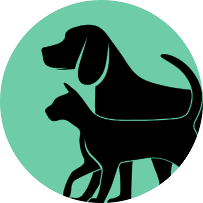 Panama City Veterinarian Canine Feline Animal Care